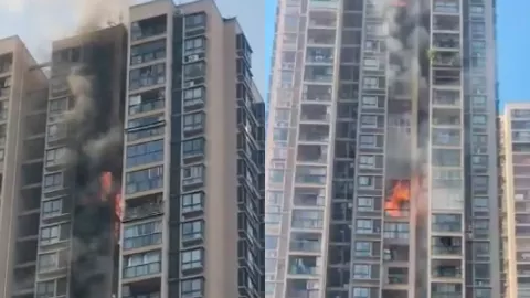 重庆市大渡口